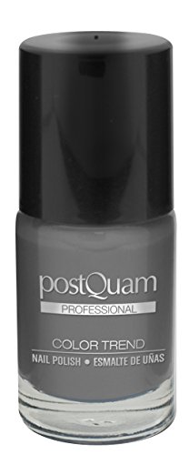 Postquam Trucco smalto unghie grigio Gray coprente